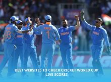 Best Websites to Check Cricket World Cup Live Scores