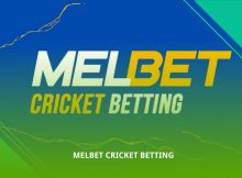 Melbet Cricket Betting